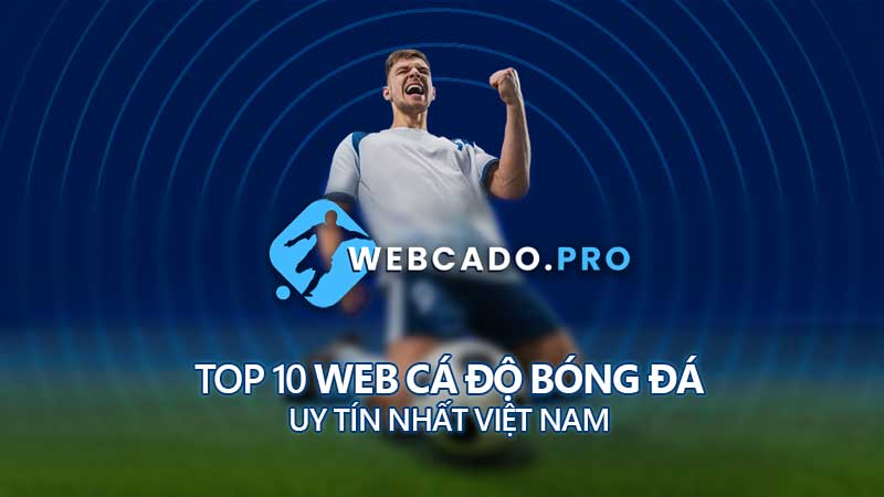 Tổng quan về Trang Cá Cược Bóng Đá